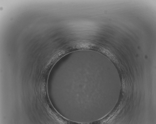 X0000068840449200605121411