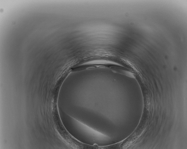 X0000068840451200605121411