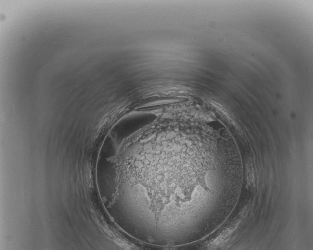 X0000068840453200605121411