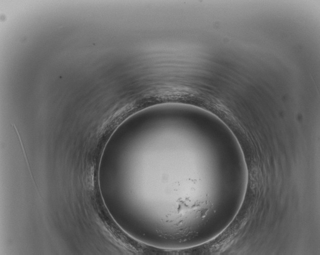 X0000068840454200605121411