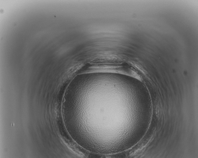 X0000068840455200605121411