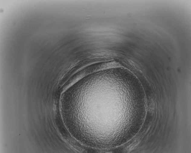 X0000068840456200605121411