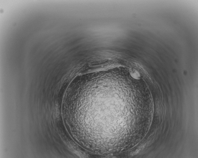 X0000068840457200605121411