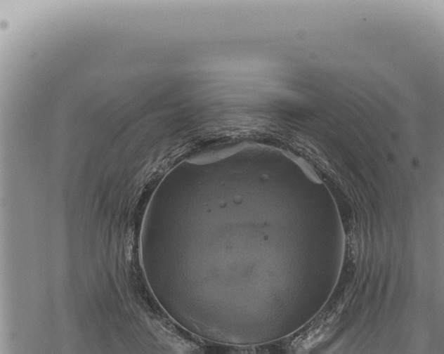 X0000068840458200605121411