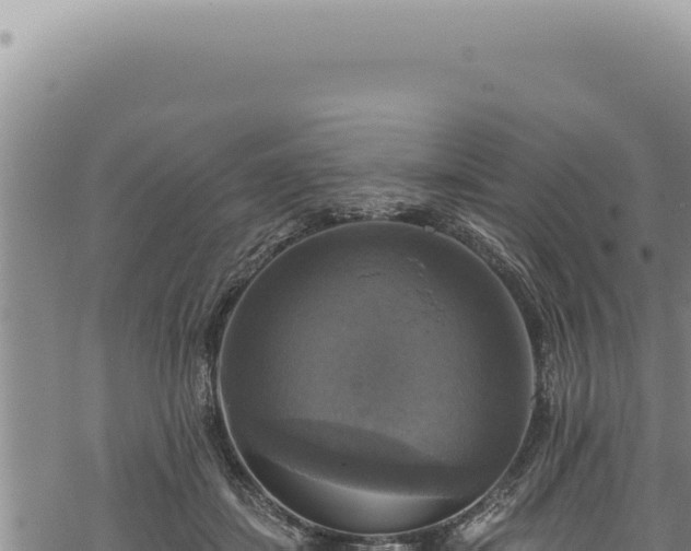 X0000068840459200605121411