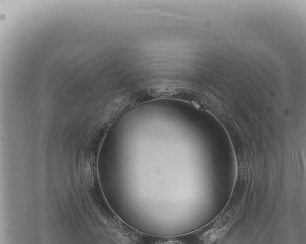 X0000068840460200605121411