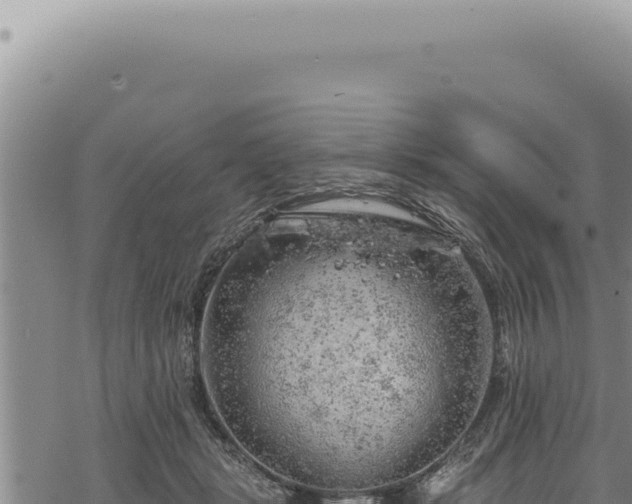 X0000068840461200605121411