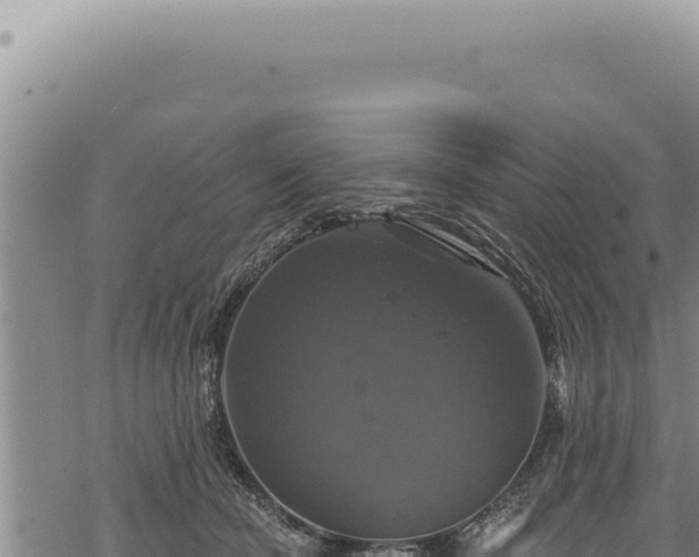 X0000068840462200605121411