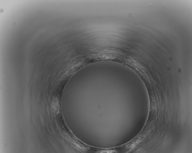 X0000068840465200605121411