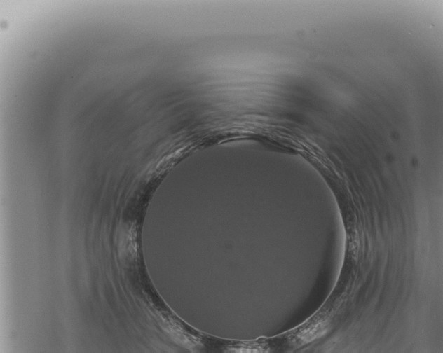 X0000068840466200605121411