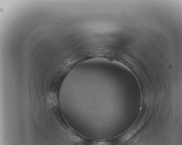 X0000068840467200605121411