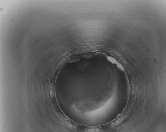 X0000068840471200605121411