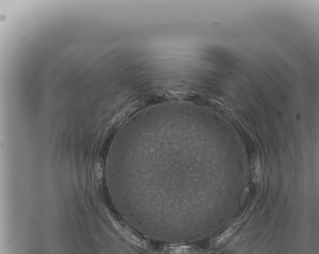 X0000068840472200605121411