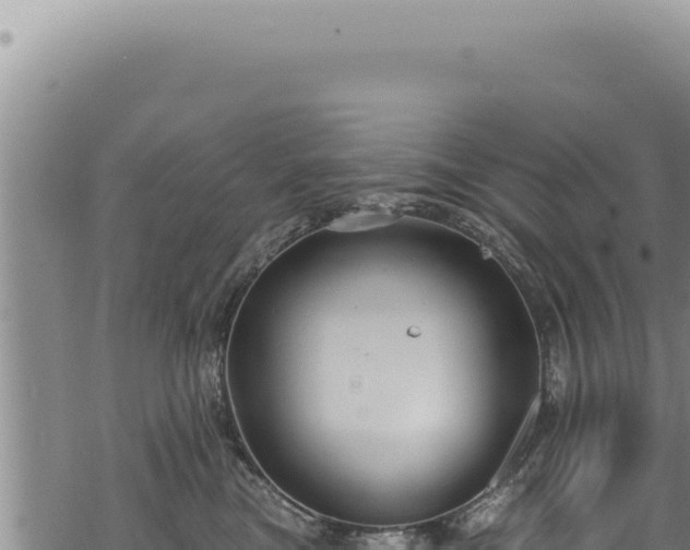 X0000068840473200605121411