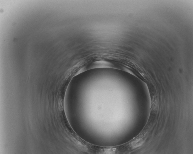 X0000068840474200605121411