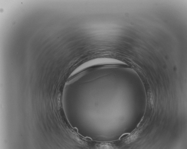 X0000068840475200605121411