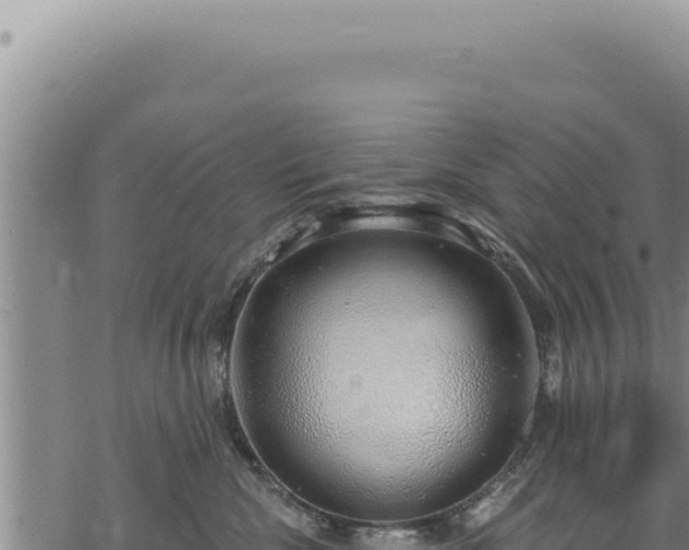 X0000068840476200605121411