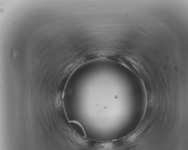 X0000068840478200605121411