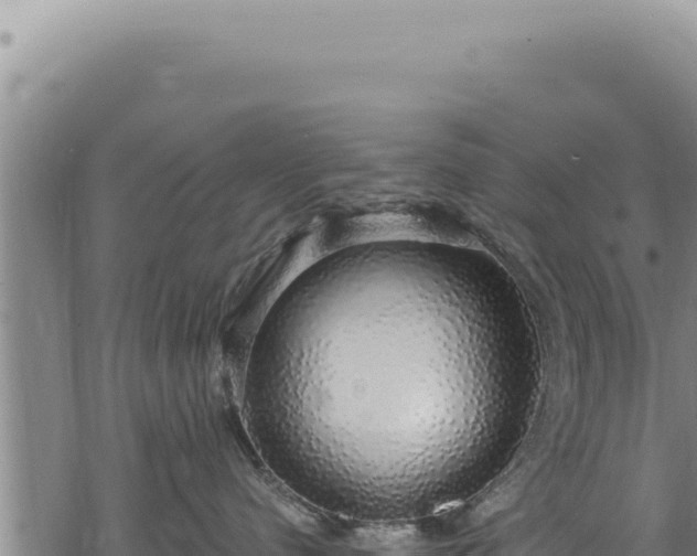 X0000068840480200605121411