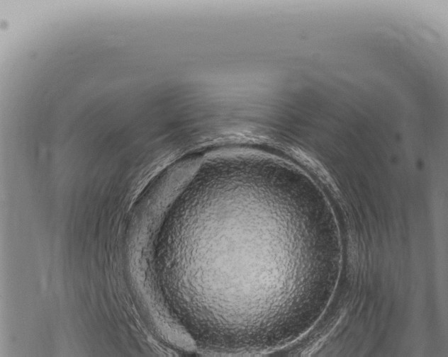 X0000068840481200605121410