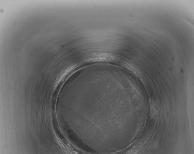 X0000068840482200605121410