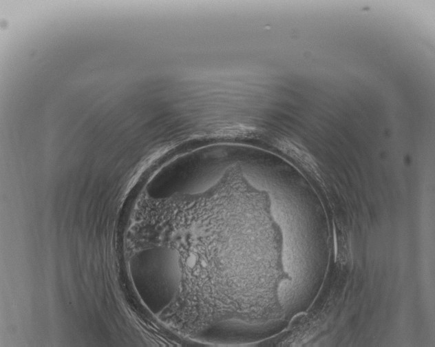 X0000068840483200605121410