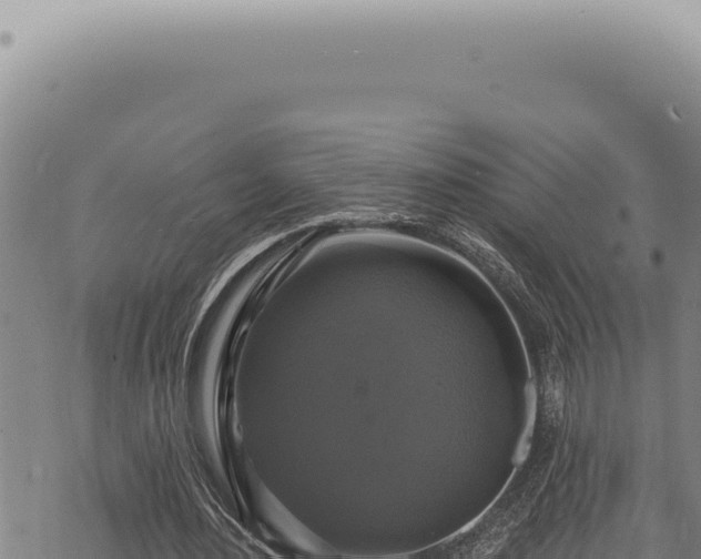 X0000068840484200605121410