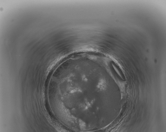 X0000068840487200605121410