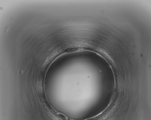 X0000068840489200605121410