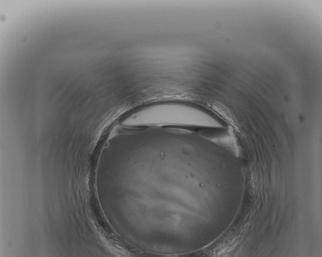 X0000068840491200605121410