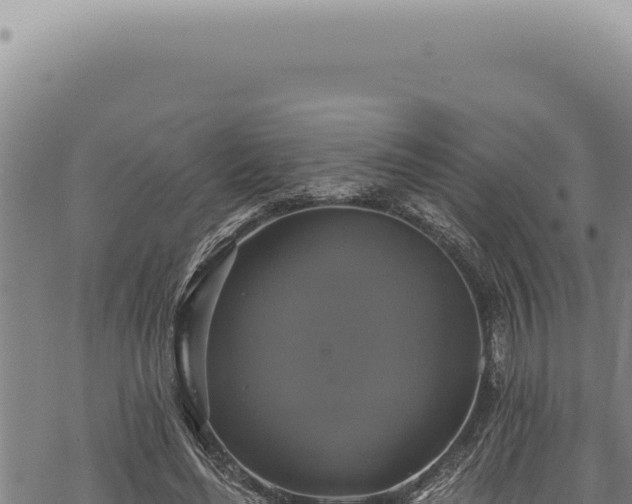 X0000068840492200605121410