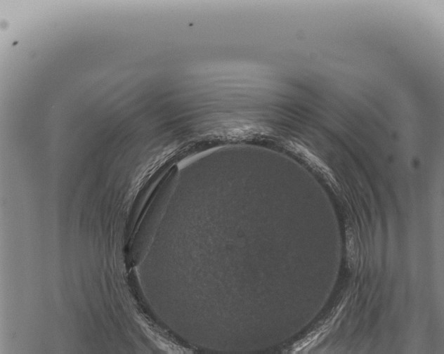 X0000068840493200605121410