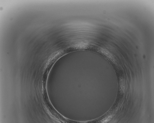 X0000068840494200605121410