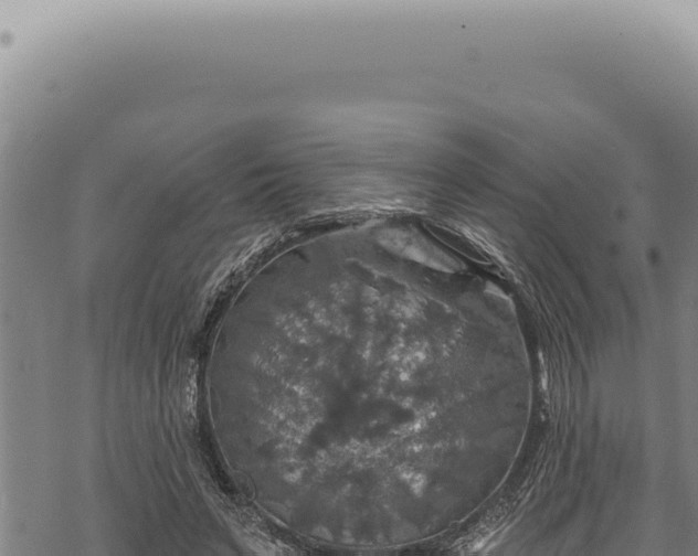 X0000068840495200605121410