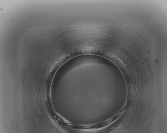 X0000068840496200605121410