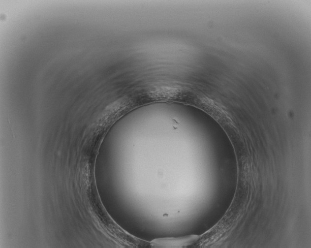 X0000068840498200605121410