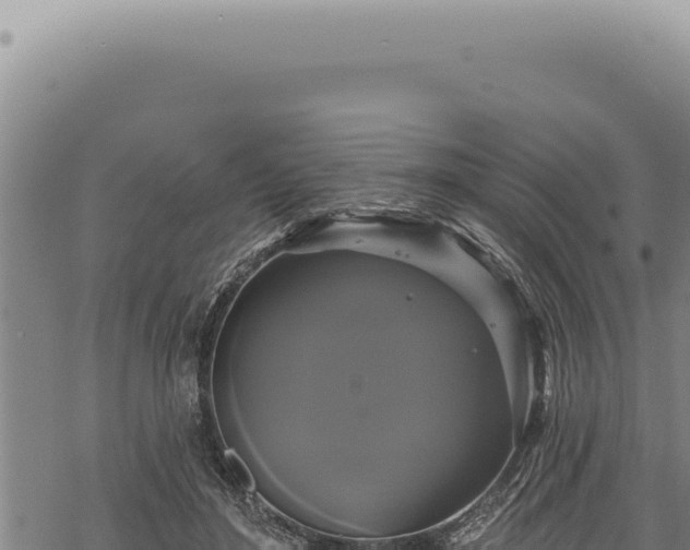 X0000068840500200605121410