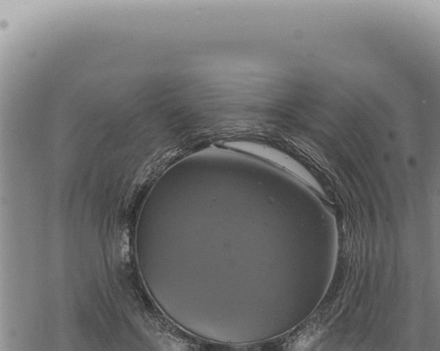 X0000068840502200605121410