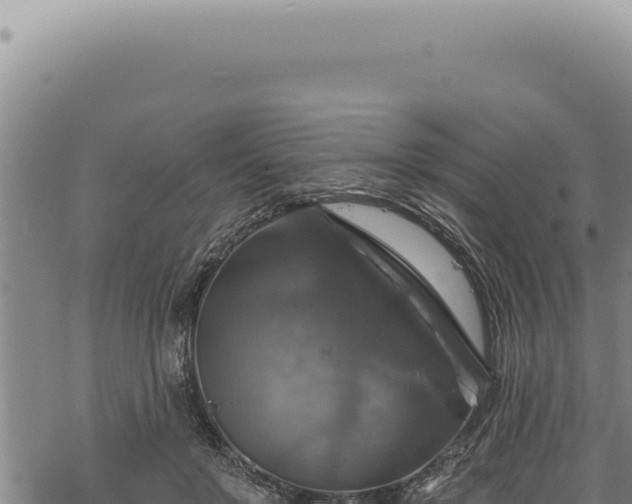 X0000068840503200605121410