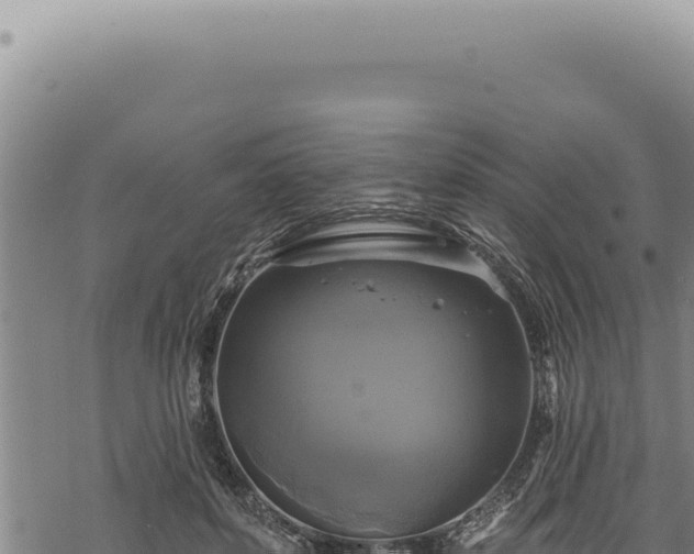 X0000068840504200605121410