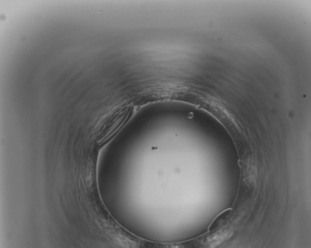 X0000068840505200605121410