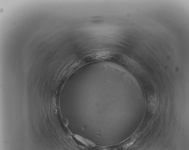 X0000068840506200605121410