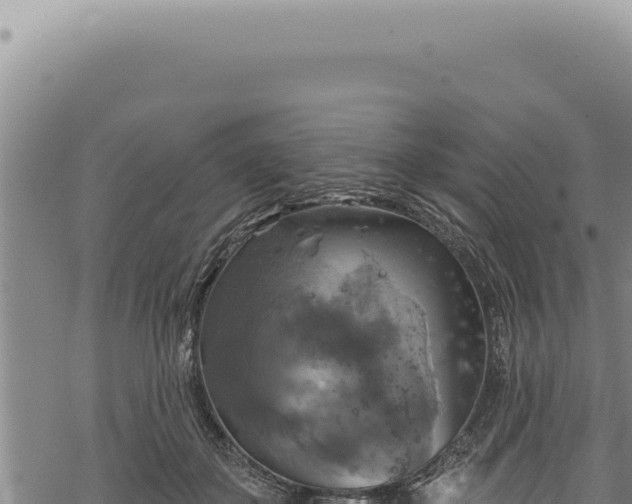 X0000068840507200605121410