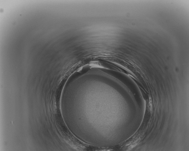 X0000068840508200605121410