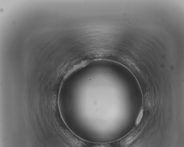 X0000068840509200605121410