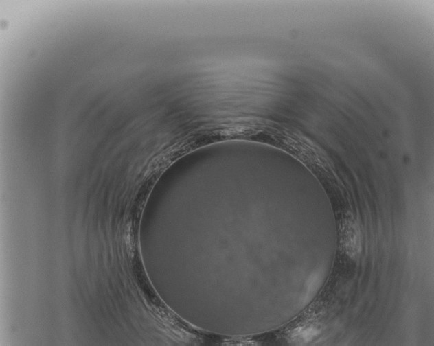 X0000068840510200605121410