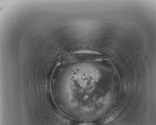 X0000068840511200605121410