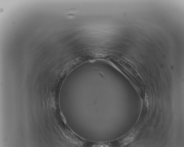 X0000068840512200605121410