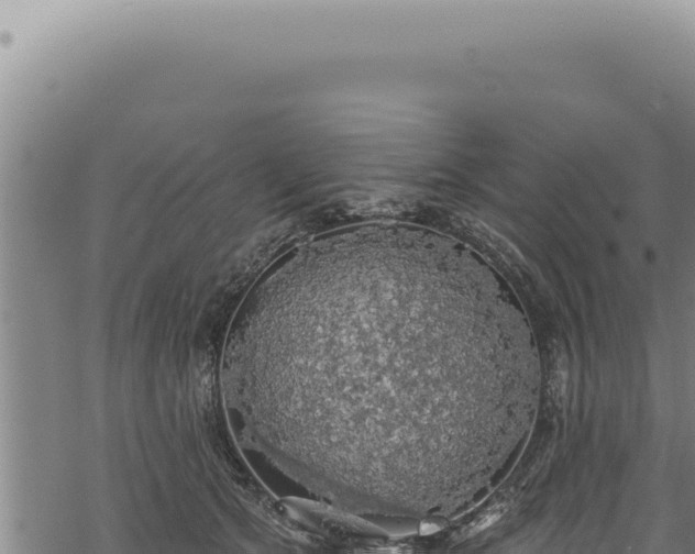 X0000068840513200605121410