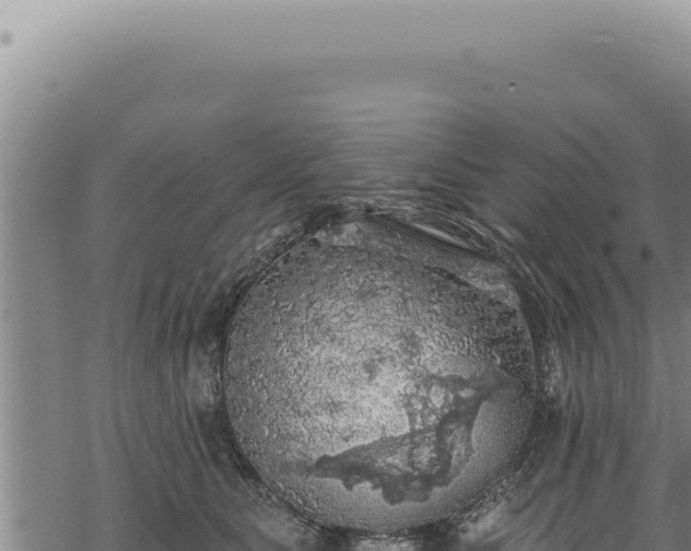 X0000068840515200605121410